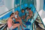 Cairns Reef Cruises Activity • Sunlover Cruises
